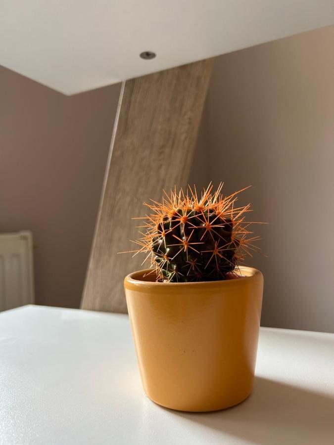 Apartman Teodora Subotica Dış mekan fotoğraf