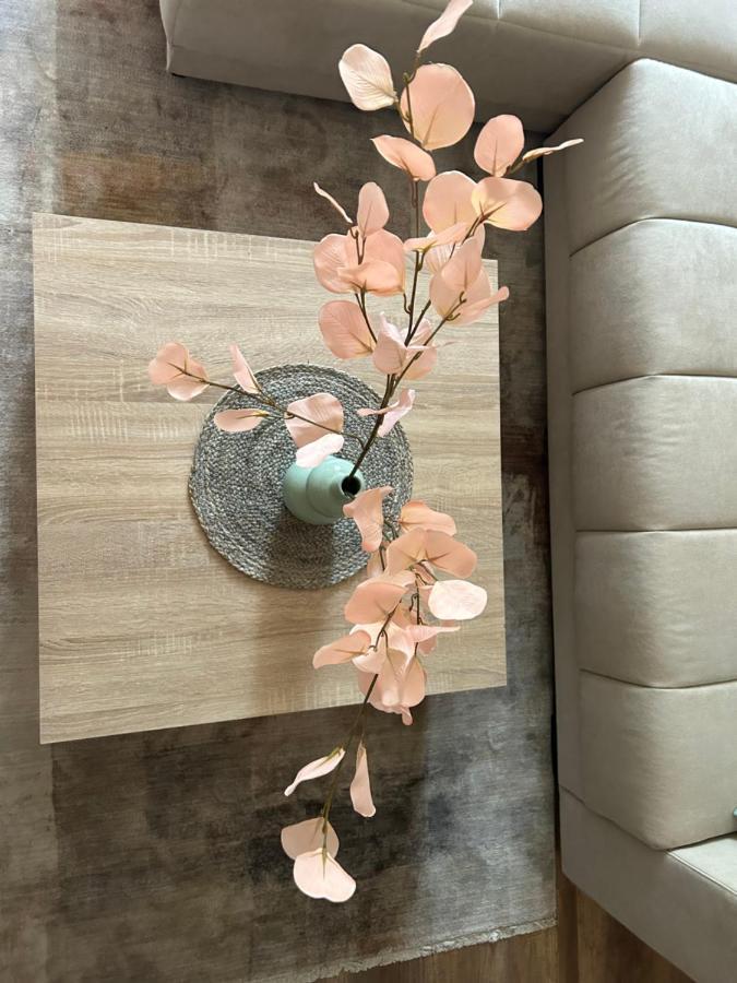 Apartman Teodora Subotica Dış mekan fotoğraf