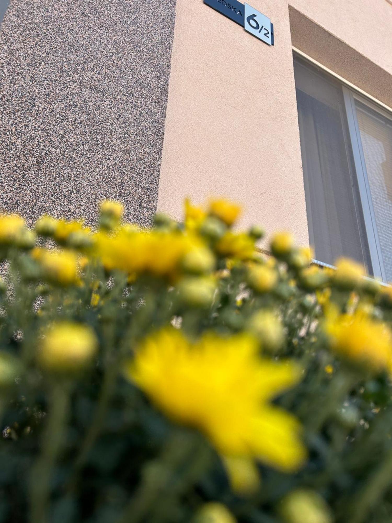 Apartman Teodora Subotica Dış mekan fotoğraf